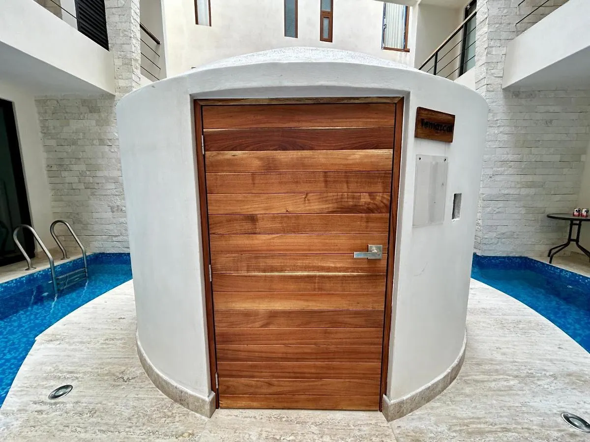Rooftop Oasis: Urban Retreat with Infinity Pool & Private Terrace Apartment Tulum 0*,
